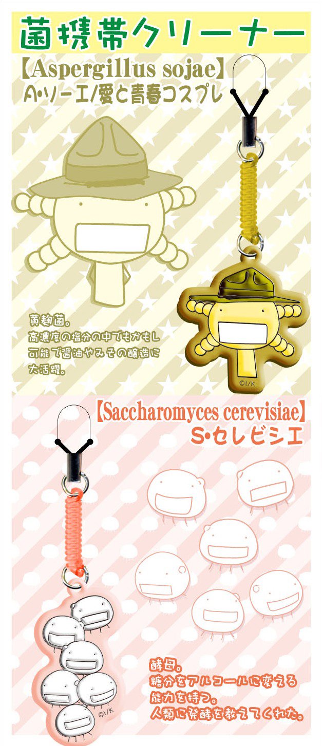 サッカロミセスセレビシエ酵母 ストックフォト - Getty Images