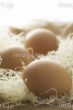 ニシンの群来が来た！小樽市