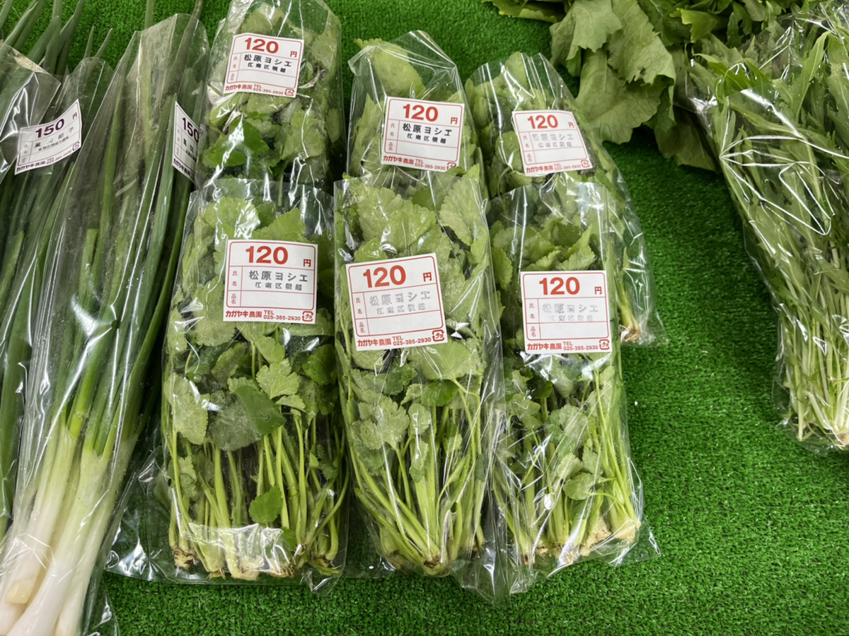 葉野菜・青菜類一覧旬の食材百科