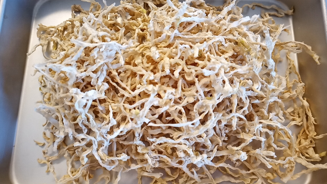 切干し大根にカビが朝日に匂う山桜