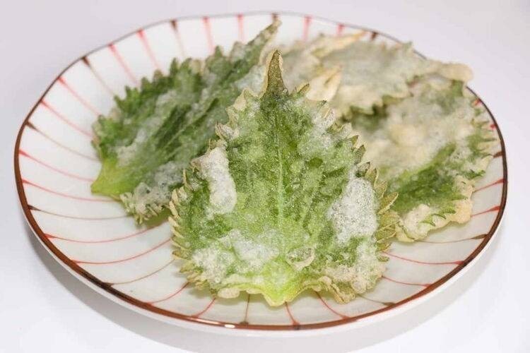 庭の「花穂紫蘇」を収穫！そして その食べ方はof nou