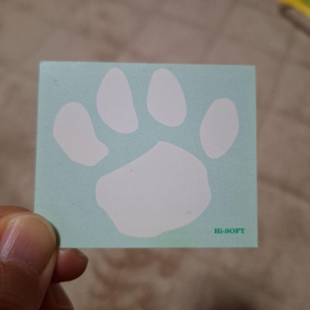 チェルシー ハイソフト おまけカード キムアンダーソンWilly Puchner