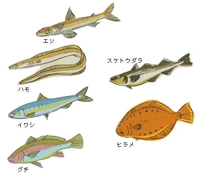 伊勢かまぼこの若松屋「焼鯛かまぼこ」こだわり伊勢かまぼこの若松屋