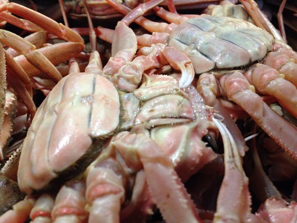 泡吹く蟹さんイラスト - No: 24113539無料イラスト・フリー素材なら「イラストAC」