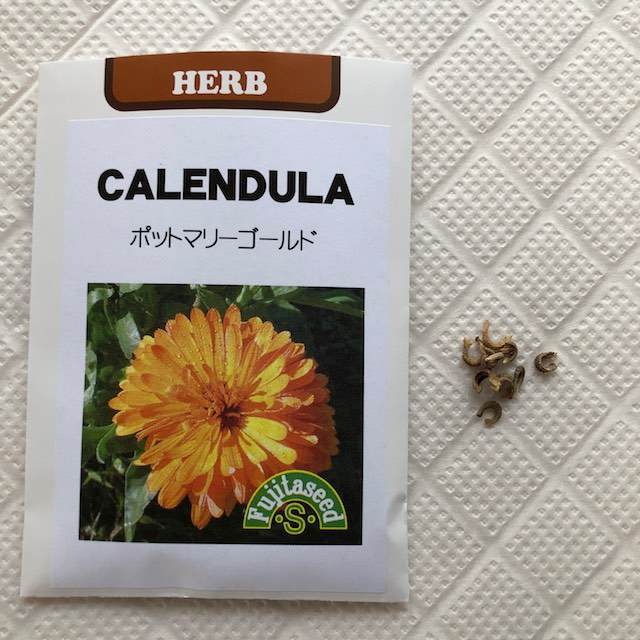 二色の赤と黄色のカレンデュラの花の種、鮮やかな花、非遺伝子組み換えorganicindiaseeds