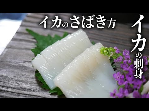 ヤリイカの一杯造り、いかそうめん、エンペラの刺身、ゲソの湯引き、さばき方 - 魚料理と簡単レシピ