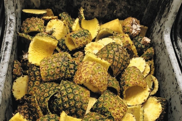 パイナップルの皮と芯で簡単に作れるメキシコの伝統的な発酵飲料テパチェAquamarine