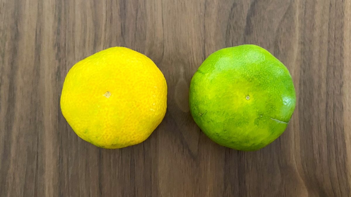 みかんの写真素材写真素材なら「写真AC」無料 フリー ダウンロードOK