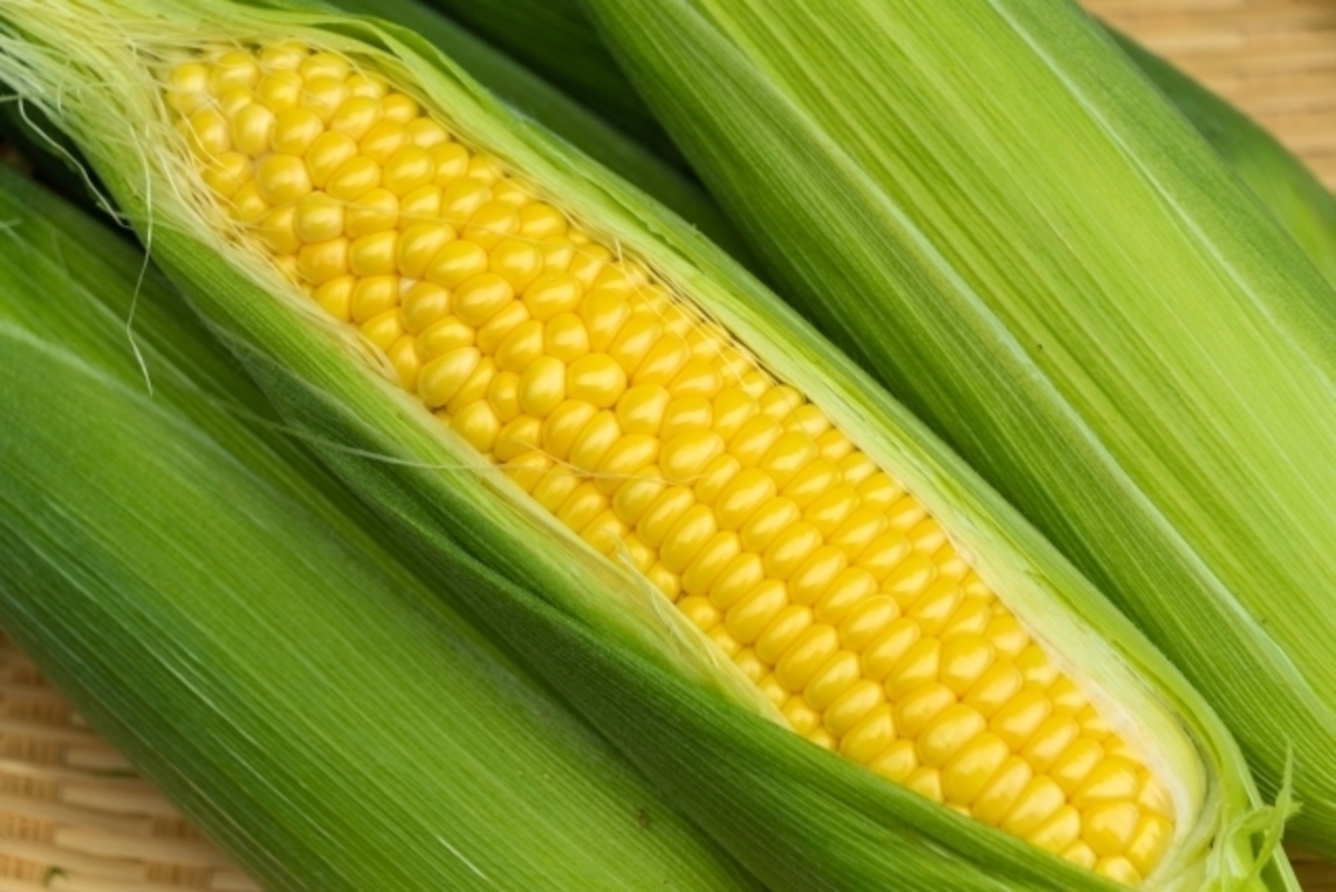 とうもろこしの栄養とは?蒸し方や焼き方・おすすめのレシピもご紹介デリッシュキッチン