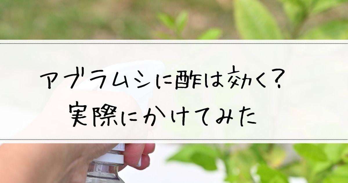 Amazon.co.jp: フマキラー カダン お酢でまもるエコパウチ 850ml 殺虫殺菌剤エコパック 特性燻製酢を使用した100%食品成分 虫と病気を退治&予防: ペット用品