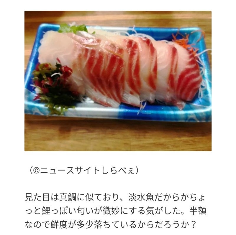 ティラピアは本当にまずいの？刺身とレシピを完全徹底解説します！GIJIE専科- SUPER