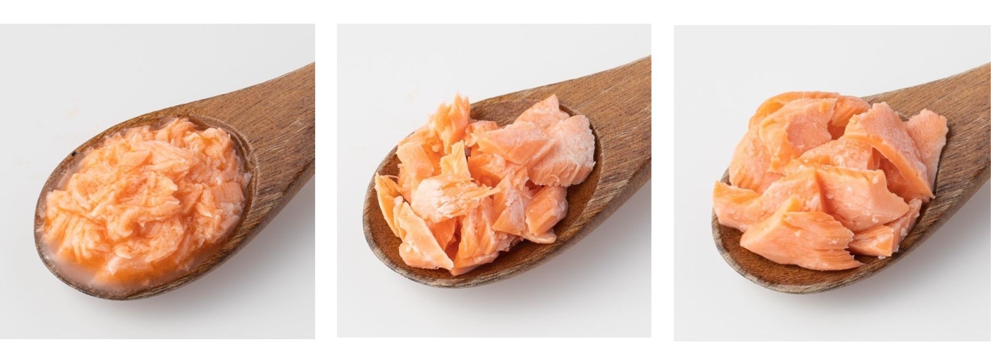 離乳食の鮭はいつからどの種類を選べばいい?段階別レシピベビリナ