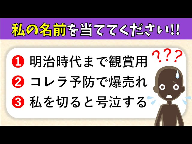 小学生向け！私は誰でしょうクイズ 全30問！子どもにおすすめの問題を紹介 - クイズ王国