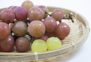 ゴルビーぶどう ゴルバチョフ氏の愛称から命名ぷ~のなんくるないさ~食いしん坊万歳~