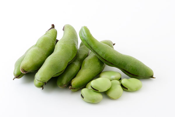 そら豆：イラスト無料