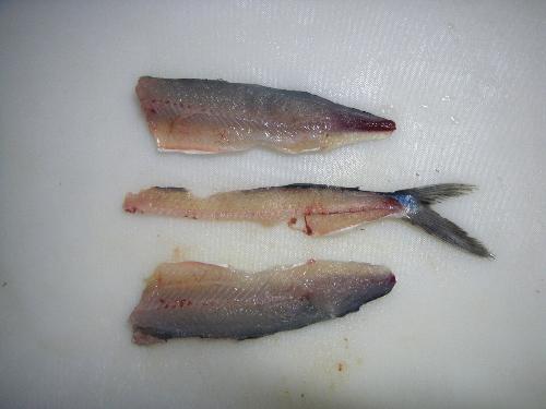 三枚おろしの手順とコツ！綺麗に捌いて気分は板前！ – Fish Paradise