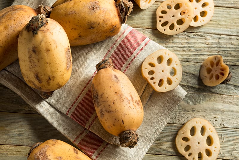 コストコの国産泥つきレンコンがおすすめ！冷凍保存方法も解説