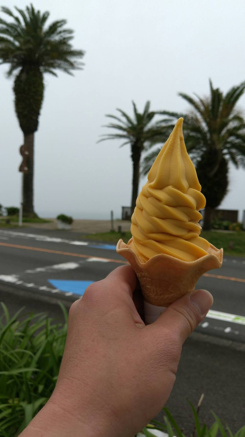 道の駅フェニックス ⁡ ⁡ 長らく販売されていなかったえびソフトがなんと！！！！ 再販されました🦐🦐 ⁡ ⁡ いつもフェニックスに行くと明日葉ソフト頼むんですがえびソフトが復活したと聞いたのでそれは行頼むしかないと えびソフト頼みました！ ⁡ ⁡ えび風味のするソフト