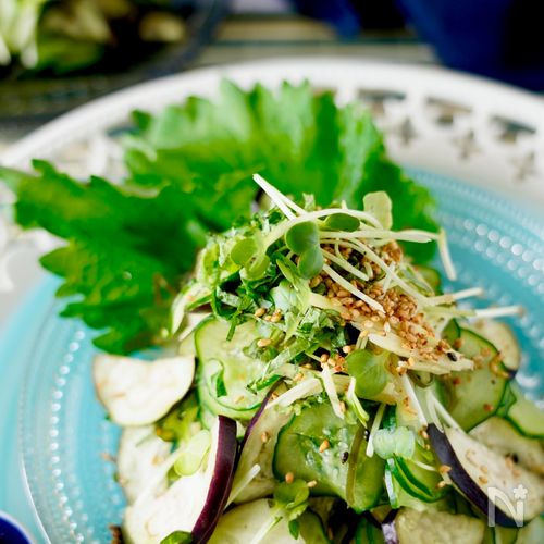 大葉ナスの煮浸し」をご紹介🍆 料理が苦手な方でもすぐに出来ちゃう爆速レシピです これからが旬の夏野菜「ナス」でぜひお試しください〜材料▷ナス：3本▷大葉：10枚 ▷焼肉のタレ：大さじ3 ▷酢：大さじ1 ▷サラダ油：小さじ2馬場ごはん料理なす大葉