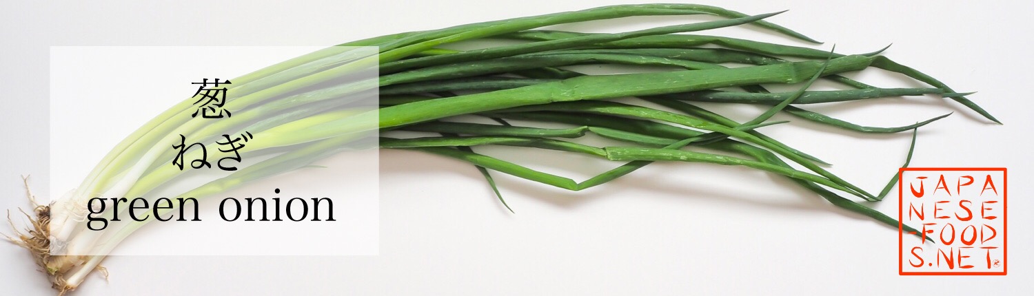 ねぎとよく似た「わけぎ」とは？見分け方や使い方を伝授！ - macaroni