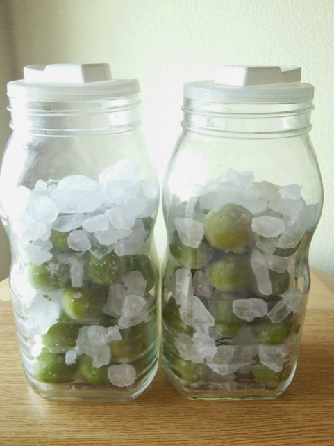 今年の梅酒・梅シロップはてんさい糖で風味＆コクUP