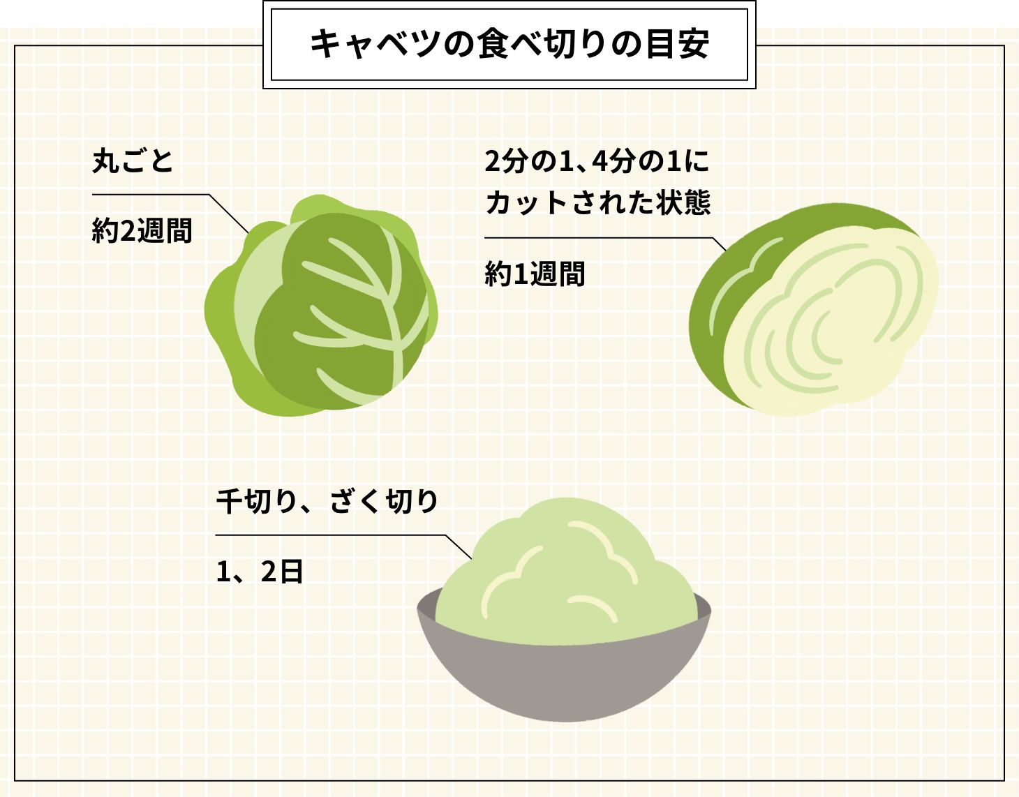 これが基本!キャベツのざく切り
