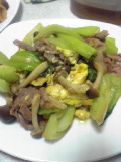 チンゲン菜と海老の卵炒め