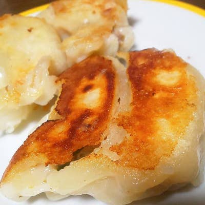 篭蔵』@吉祥寺 十数年ぶりに開催ジャンボ餃子25％OFFの日！第2回目は・街♪盛り上げ隊が行く！リビングむさしのWeb