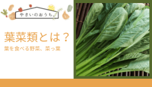 畑で自然交配でできた菜っ葉たち