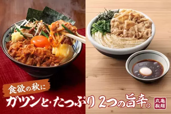つゆまで飲み干せる！すぐできる、丸亀製麺風のあっさり冷たいうどんレシピ