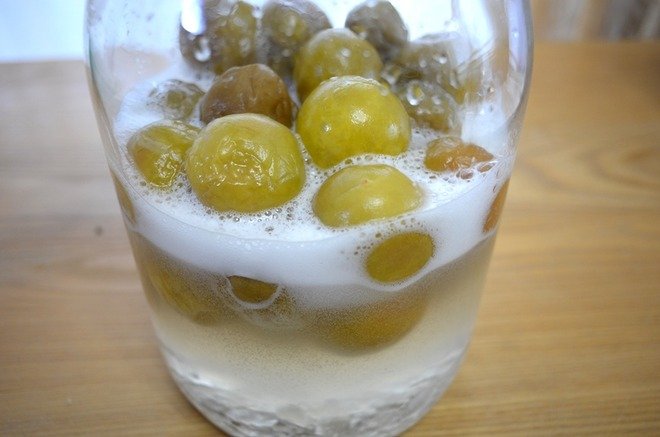 梅シロップの醗酵について – 紀州田辺うめ振興協議会