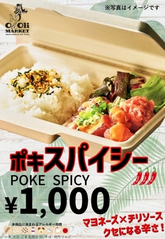 静岡みやげ 港町清水のソウルフードが缶詰に！お土産にもぴったり はごろもフーズ「清水もつカレー」と「清水もつカレー おそば屋さん風」ぴんちょすの沼津ライフ