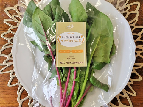 生のおからはそのまま食べれる?サラダとか火を通さなくても大丈夫?そのまま食べてもいいですか