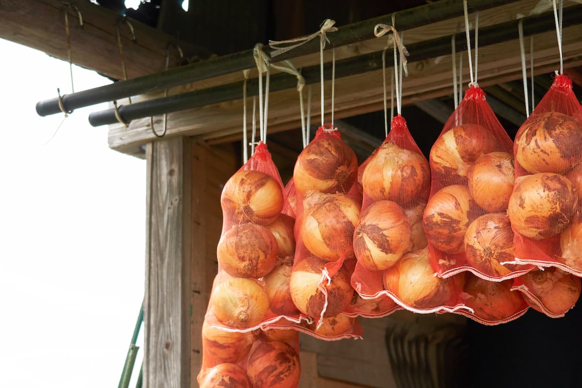 吊るして長期保存 つる付き淡路島たまねぎ 10キロ野菜 玉ねぎ 産直アウル 農家から直接野菜などの食材を購入できる産地直送の宅配通販サイト