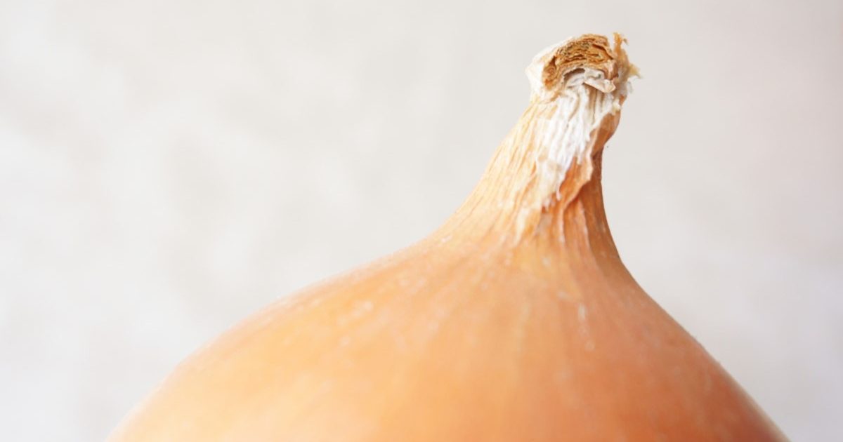 芽吹いた玉ねぎは食べられる ？知って驚愕、玉ねぎの芽の用途とは？ オリーブオイルをひとまわしニュース