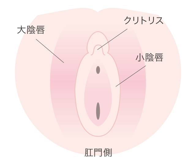 女性向け官能小説「24歳――はじめてのオナニー。」 エッチ - クリトリス