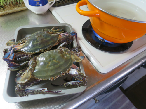 せっかくのカニ、家の鍋で失敗しない！｢カニの茹で方」をマスターしようキナリノ