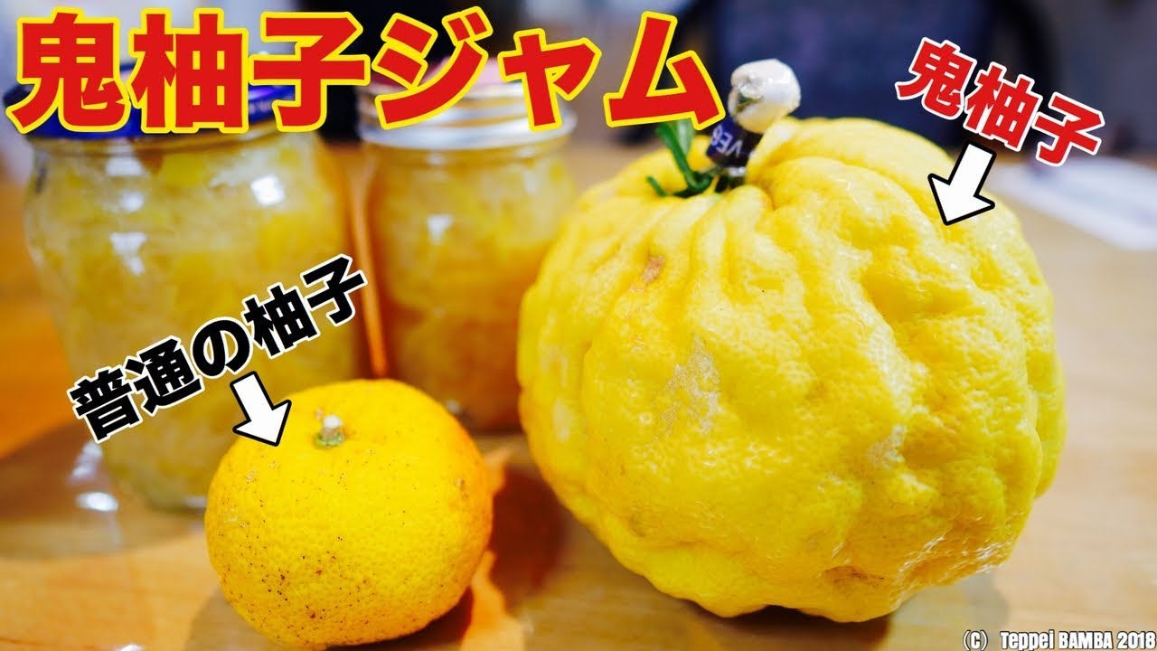 シシユズ ザボン 苗 通販 苗木部 By 花ひろばオンライン