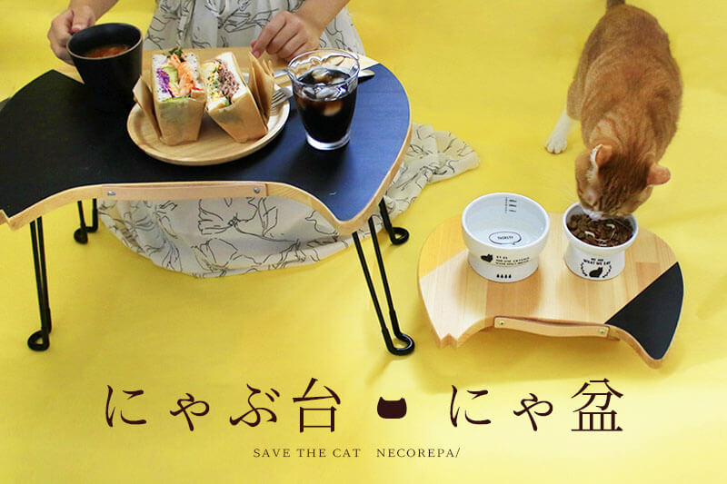 猫の餌入れはどうやって選ぶ？高さや設置場所・選び方をコツを解説日本インストラクター技術協会 JIA