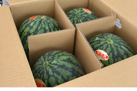 メーカー直撃企画！スイカ味のクッキーについて聞いてみました。お菓子と、わたし