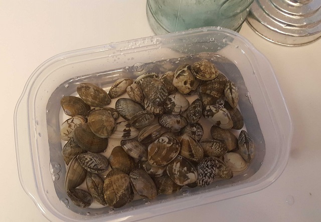 あさりは砂抜きをしてから殻付きのまま冷凍保存がおすすめ！あさりの保存方法を解説 - ハイアール LIFE STYLE