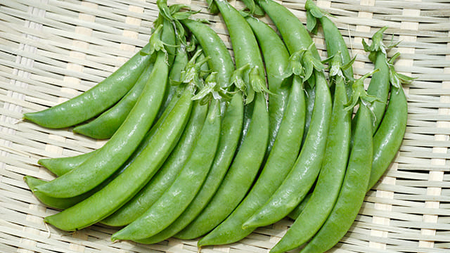 春蒔きエンドウ豆たちが意外と良かった^∇^ ﾉ楽しい農業生活