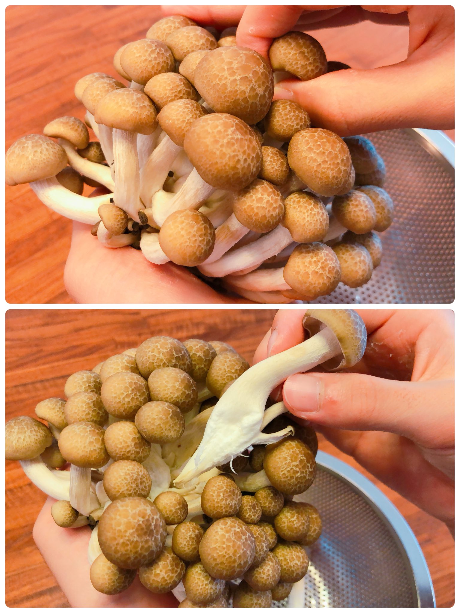 もっと早く知りたかった」しめじの石づきを簡単に取る裏技「汚れなくてうれしい」意外な方法 脱サラ料理家ふらお- エキスパート - Yahoo!ニュース