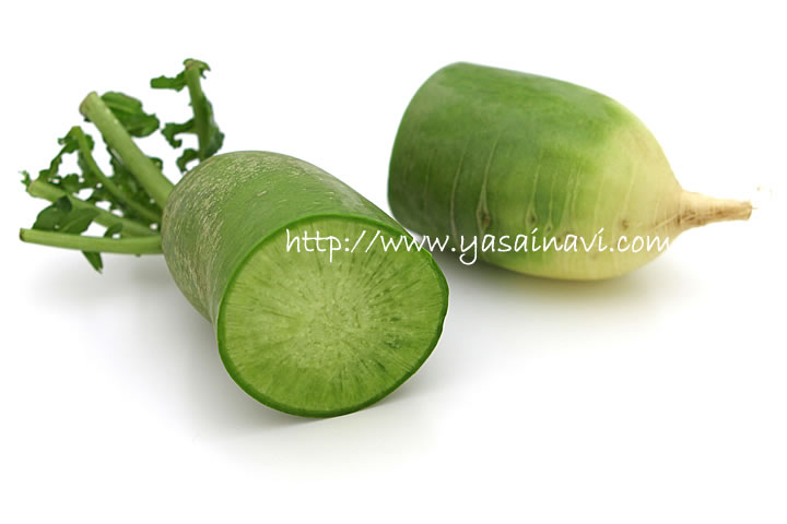 青皮紅心大根 紅芯大根‐中が赤いダイコン：旬の野菜百科