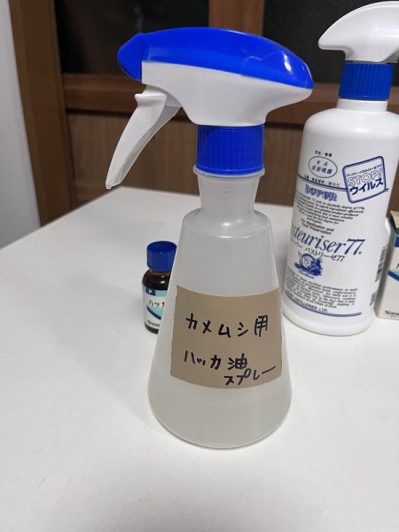 ミントスプレーの作り方マスクや虫除けにもシュッと使えるハッカ油で作れる手作りミントスプレ