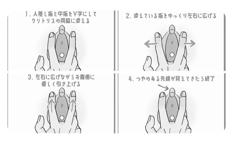 クリトリスの場所はどこ？構造・役割と快感を感じるためのいじり方 | Ray(レイ)