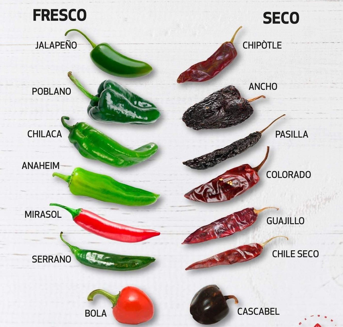 調理メキシコ料理 チリ アンチョ メキシコの乾燥唐辛子種子 - メキシコのストックフォトや画像を多数ご用意 - メキシコ, メキシコ文化, モレソース- iStock