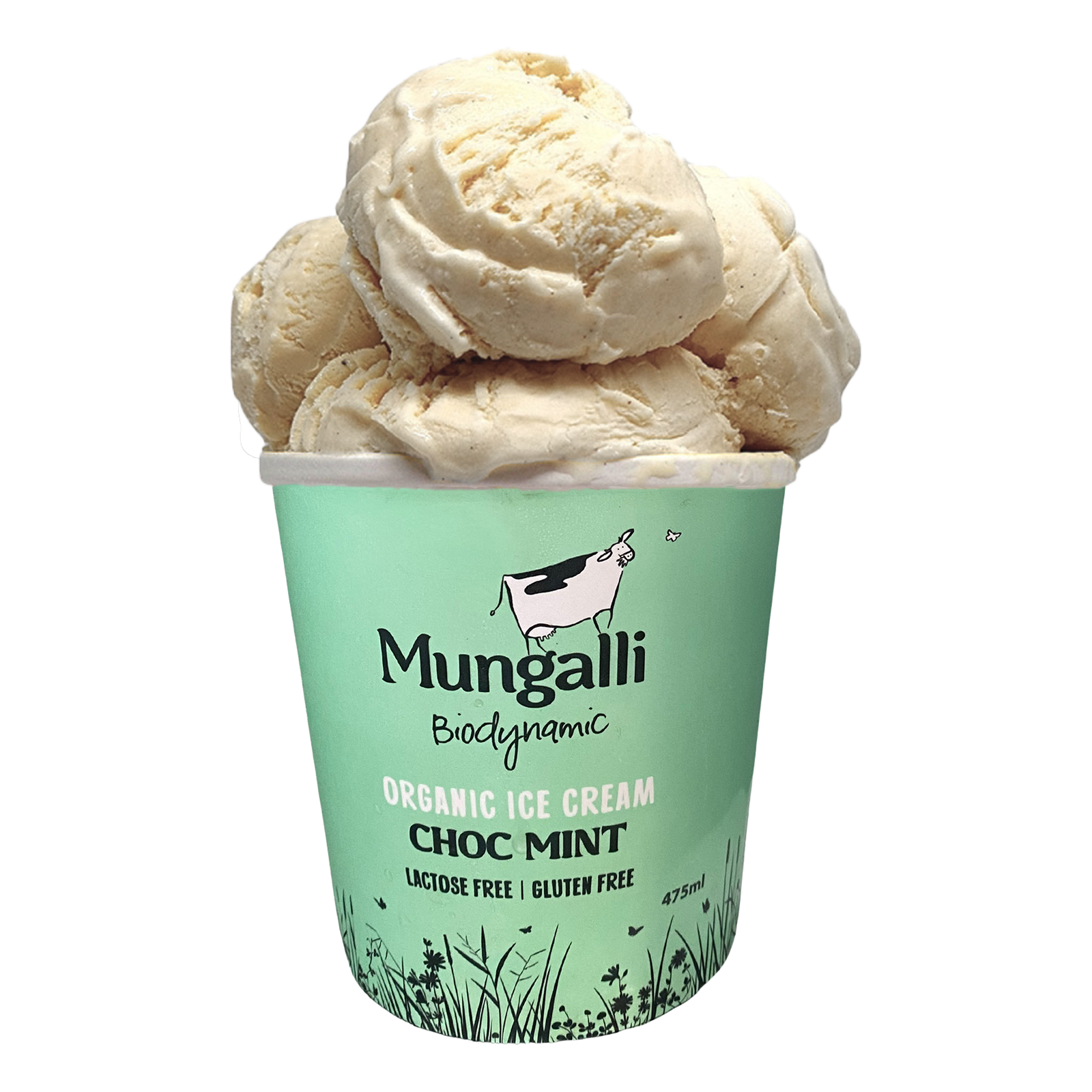 137 チョコミントアイス Stock Photos, High-Res Pictures, and Images - Getty Images