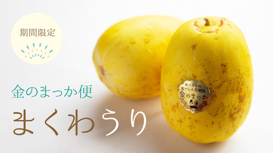 マクワウリ まくわうり・真桑瓜 の育て方・栽培方法LOVEGREEN ラブグリーン