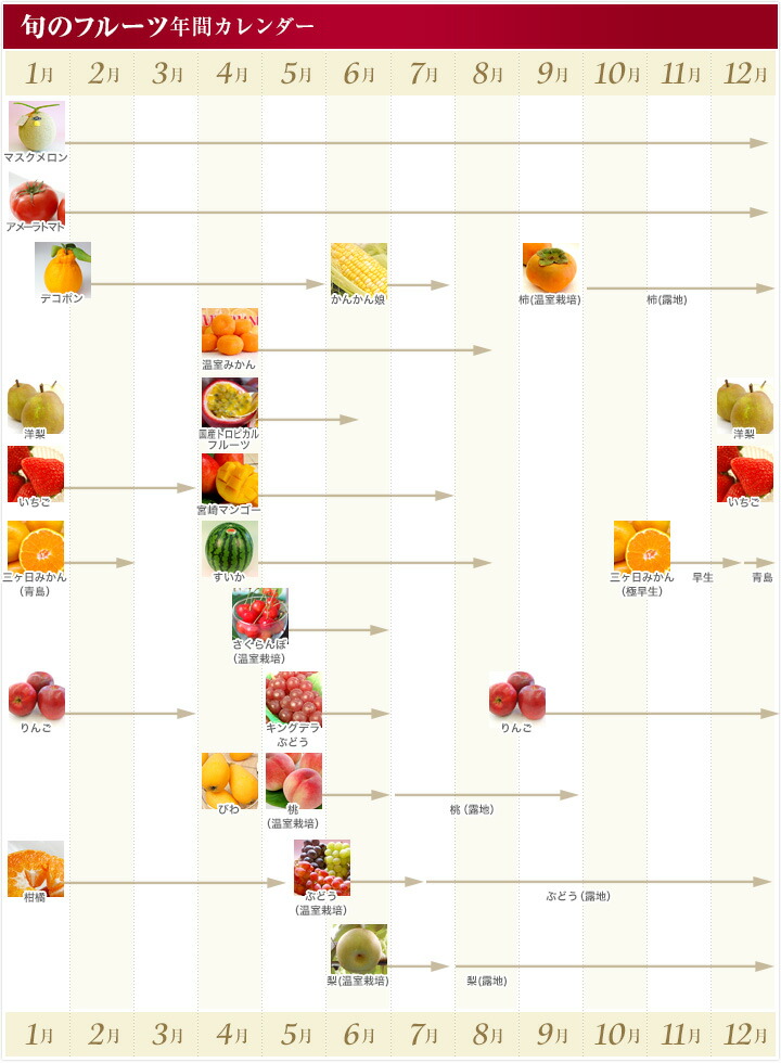 9月に旬を迎える食材一覧 野菜・魚・果物 │栄養素・保存方法・調理方法などShufoo!プラス